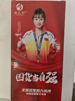 圣宝龙电瓶车原装充电器