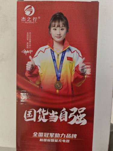 圣宝龙电瓶车原装充电器