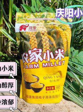 甘肃黄土高原油小米庆阳黄小米陇象合水特产农家小米口味纯正500g