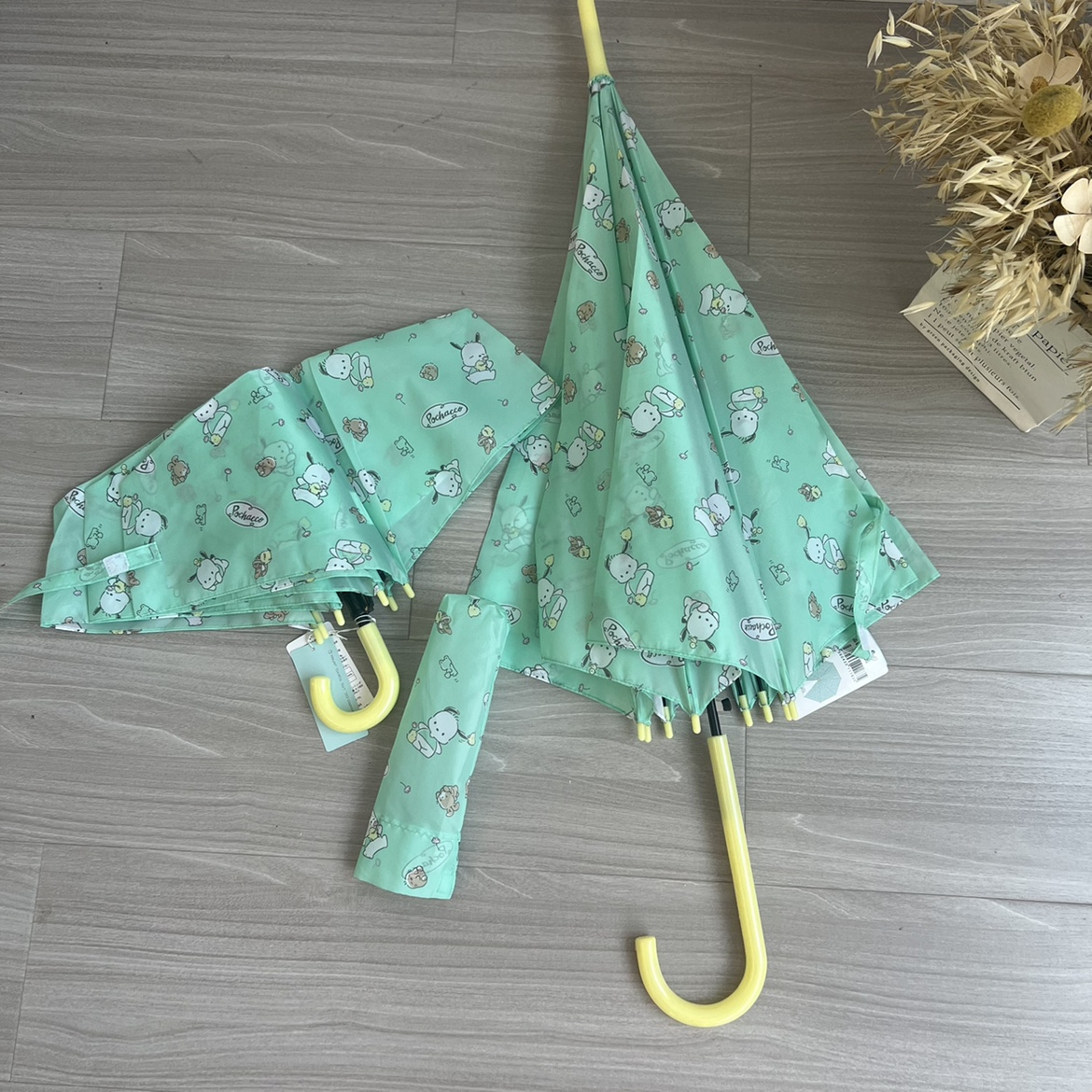pocha pocha chubby 帕恰狗吉娃娃Pachacco 卡通动漫三丽鸥雨伞