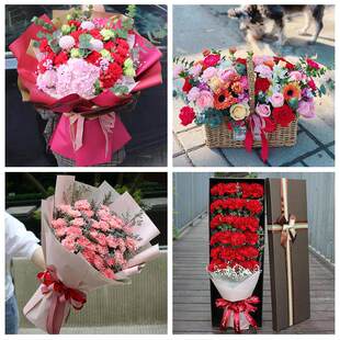 玫瑰百合向日葵康乃馨鲜花辽宁葫芦岛绥中县建昌县兴城市同城速递
