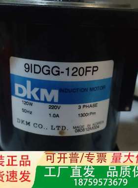 DKM电机，9IDGG-120FP议价