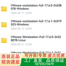 VMware  Workstation Pro17.6.2最议价
