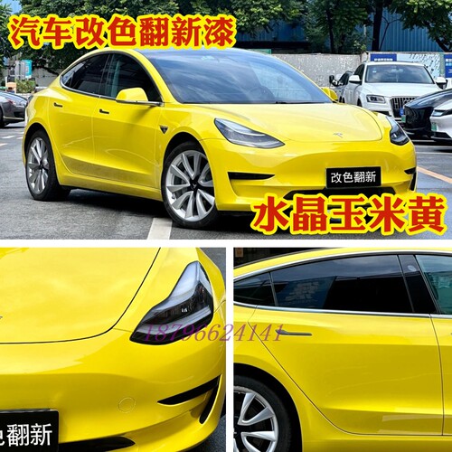 个性翻新改色镜面汽车喷漆鹦鹉