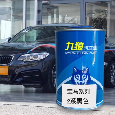 宝油漆马月光银色矿石白