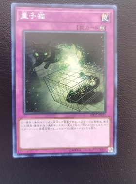 游戏王 量子猫 EP15-JP077 SD32-JP037 19TP  N / R 银字