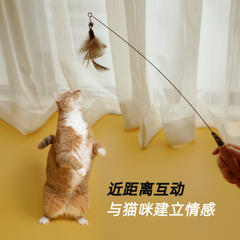 CFA赛级逗猫棒小猫斗猫棒小飞虫羽毛替换头耐咬幼猫用品猫咪玩具