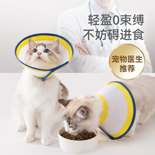 伊丽莎白圈宠物绝育项圈脖套