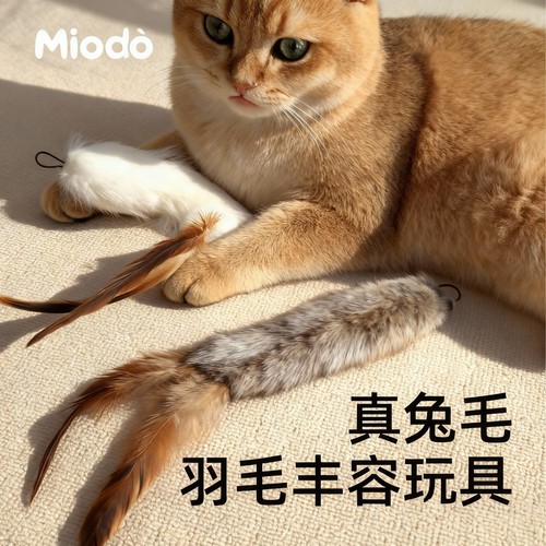 猫玩具天然真兔毛羽毛逗猫棒啃咬逗猫毛绒尾巴可挂墙猫咪丰容玩具