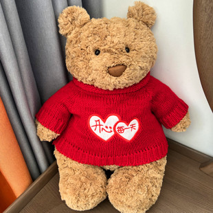 巴塞罗熊衣服抱抱熊玩偶娃衣小熊熊猫布娃娃替换换洗毛衣玩偶着替