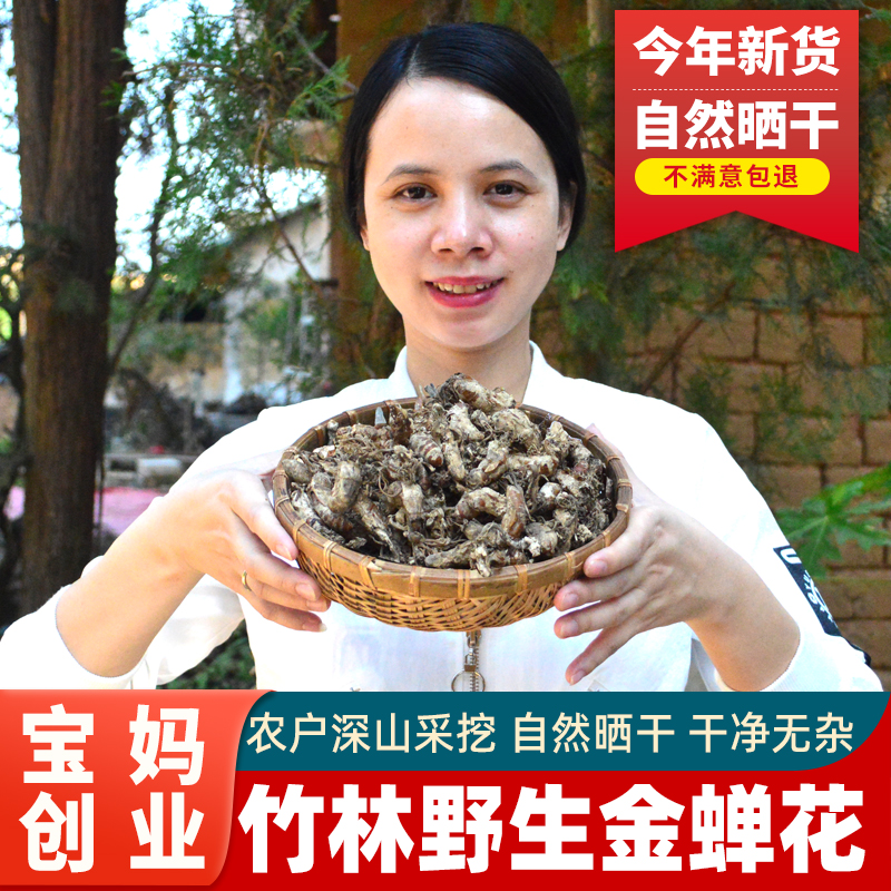 广东河源农家竹林野生金蝉花干货