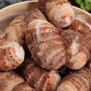 河南新鲜毛芋头牛奶小香芋头仔软糯芋艿农家蔬菜芋头批发