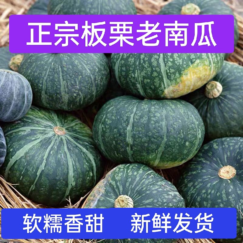 板栗南瓜绿皮栗大南瓜宝栗铁球老南瓜东北面窝瓜非贝贝小南瓜