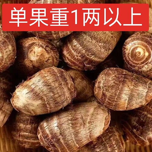 当季新芋头芋头无坏果人工精选