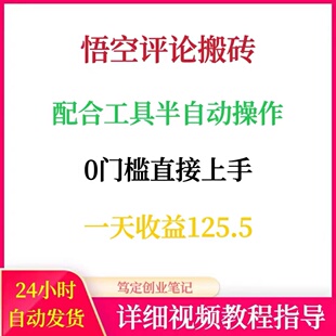 悟空评论搬砖项目配合工具半自动挂机操作网络副业在家创业赚钱