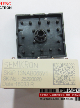 SKIIP13NAB065V1 13NAB065V1 电源功率模块 SEMIKRON/西门康