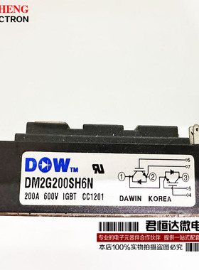 DM2G150SH6NE DM2G100SH6A DM2G200SH6N韩国DAWIN大卫IGBT模块