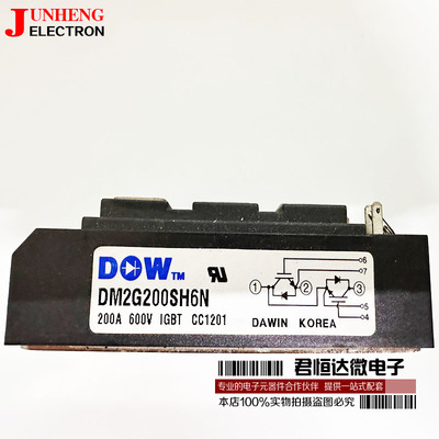 电源模块DM2G150SH6NE