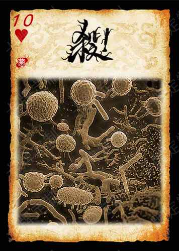 生物学科扩展包63张三国桌游DIY卡牌杀定制收藏定制米罗阳
