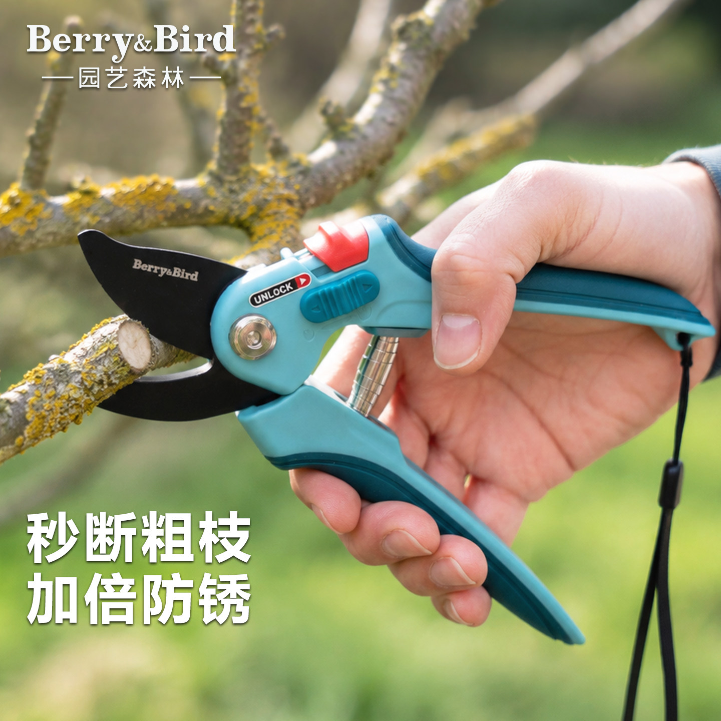 园艺修枝剪刀Berry&bird图片