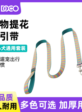 DOCO轻便狗狗牵引绳金毛链子防咬断防丢失小型中大型犬宠物狗绳
