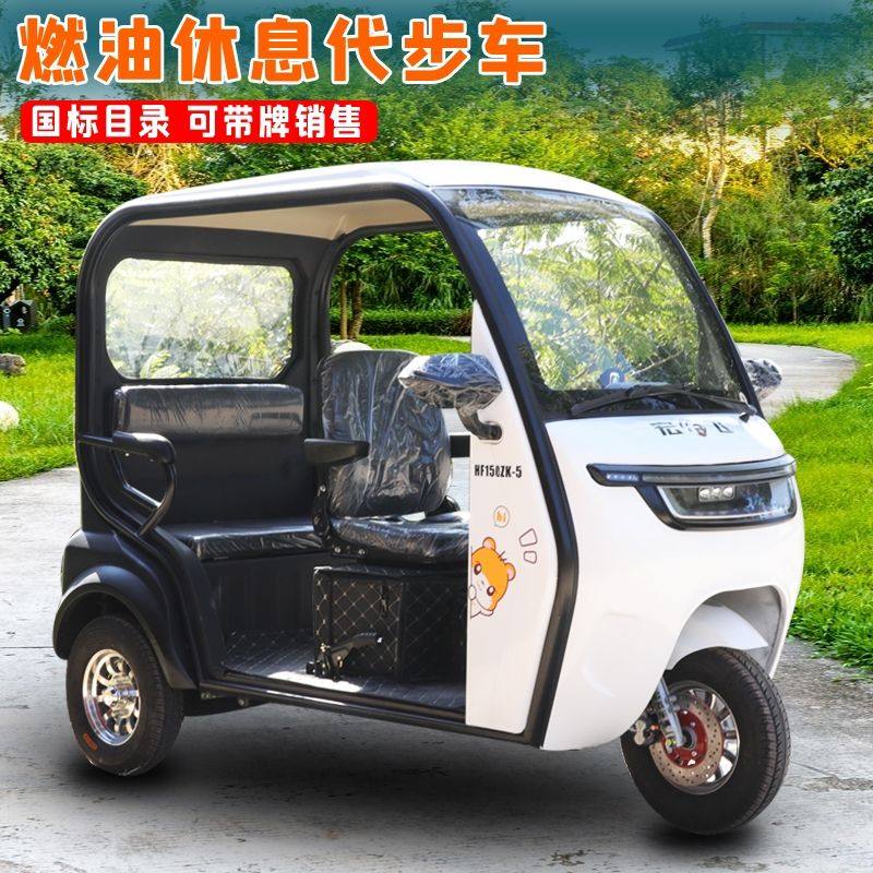新款带棚国际燃油休闲接送孩子旅游代步家用三轮摩托车