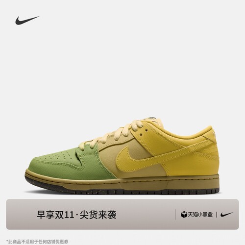 Nike耐克低帮胶底男子陆冲滑板鞋