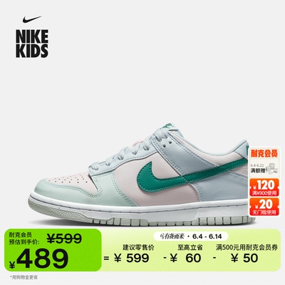 Nike耐克DUNK平底大童运动鞋板鞋