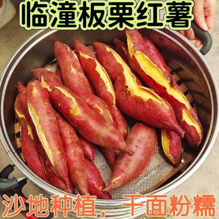 正宗陕西临潼板栗红薯新鲜红苕农家沙地板栗薯蜜薯地瓜