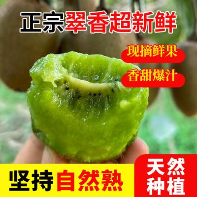 翠香瑞玉猕猴桃非周至弥猴桃陕西猕猴桃新鲜水果现摘包邮绿心大果
