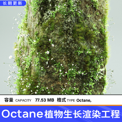 C4D花草模型 OC植物生长动画渲染工程含材质球 灯光贴图纹理素材