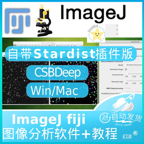 imageJ 自带Stardist CSBDeep 免疫荧光细胞分割分析插件 Win Mac