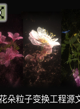 Touchdesigner工程 点云花朵植物粒子键盘交互变换弥散项目源文件