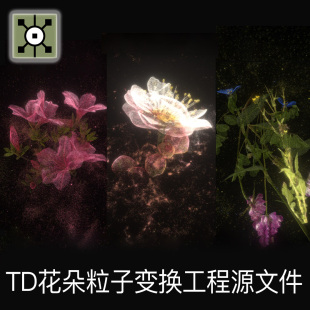 Touchdesigner工程 点云花朵植物粒子键盘交互变换弥散项目源文件