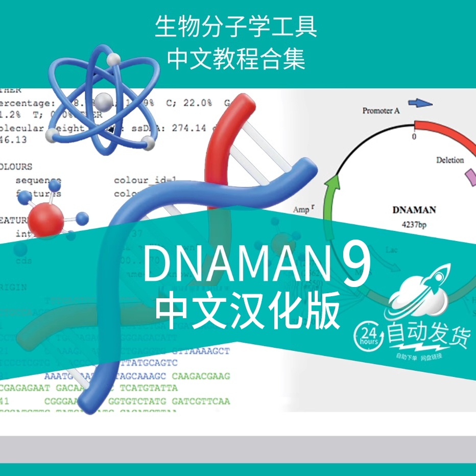 DNAMAN 9.0 中文汉化版软件 DNA MAN生物分子序列对比 送