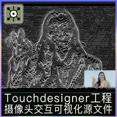 Touchdesigner工程源文件摄像头互动数字艺术交互可视化线条项目