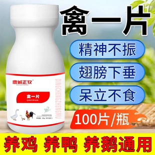 禽一片家禽养鸡鸭鹅禽类急救包急救片呼吸道感冒呼噜红黄白痢专用