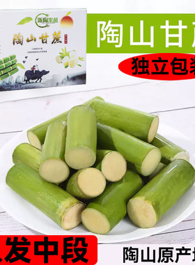 陶山青皮甘蔗5斤温州特产礼盒
