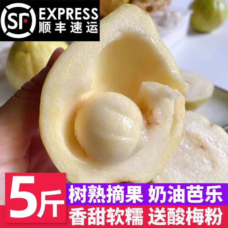 福建黄金奶油芭乐新鲜5斤软糯白心番石榴巴乐小潘翻孕妇低糖水果