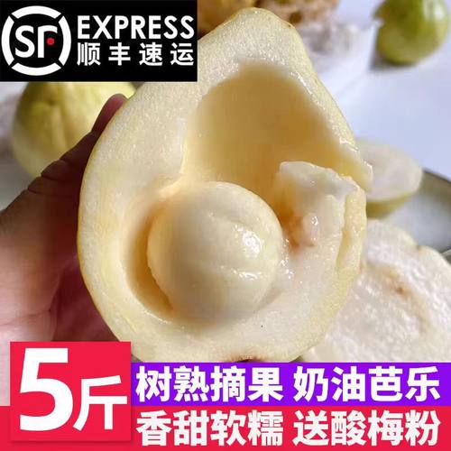 福建黄金奶油芭乐新鲜5斤软糯白心番石榴巴乐小潘翻孕妇低糖水果