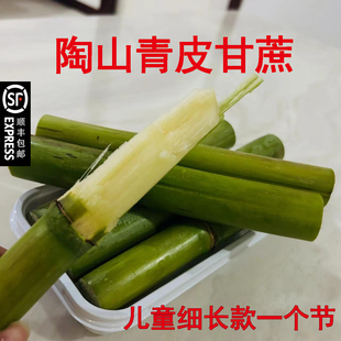 陶山甘蔗当季温州特产新鲜水果绿皮青皮果蔗儿童细长版顺丰包邮