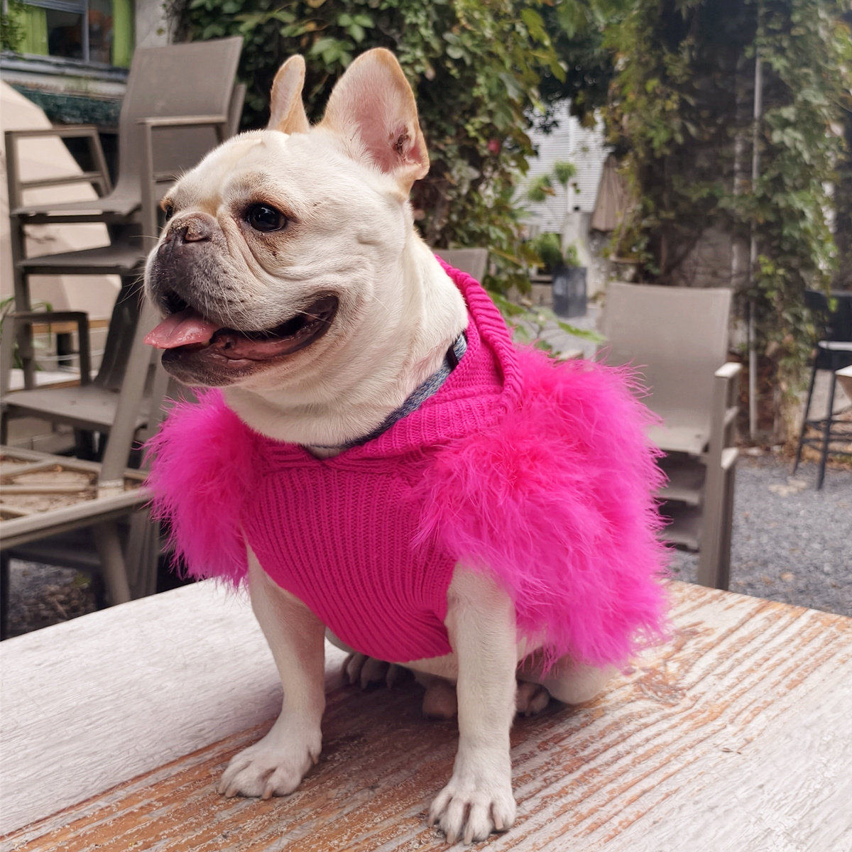 外贸时尚宠物毛衣连帽狗狗衣服秋冬装泰迪比熊柯基吉娃娃小鹿犬猫