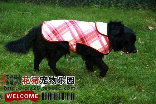 大狗衣服秋冬装中大型犬披风英伦风斗篷 八哥斗牛金毛萨摩柯基