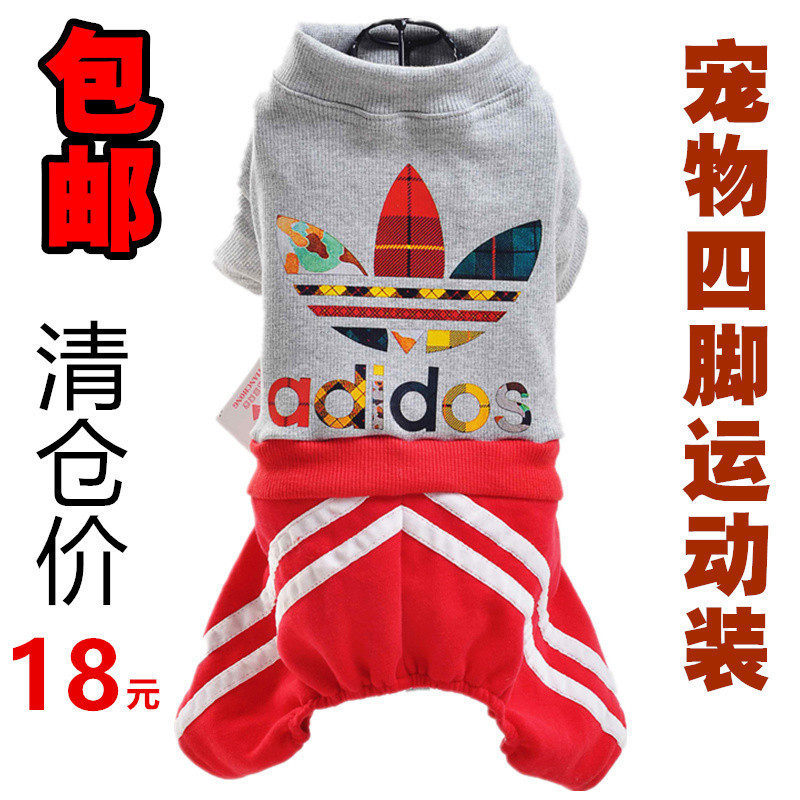 泰迪幼犬衣服春秋薄款春装