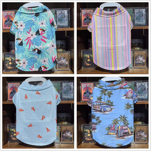 狗狗衣服夏装衬衫帅哥网红