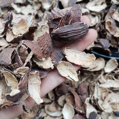 去籽草果皮卤肉火锅现捞香料