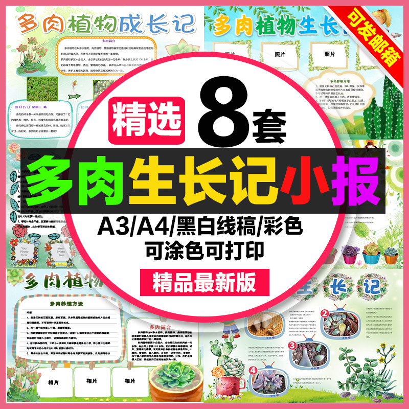 多肉生长记手抄报学生电子小报多肉成长记a3素材线稿a4模板制作8k