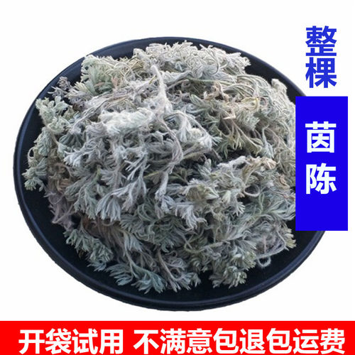 茵陈草新鲜整棵干货散装中药材