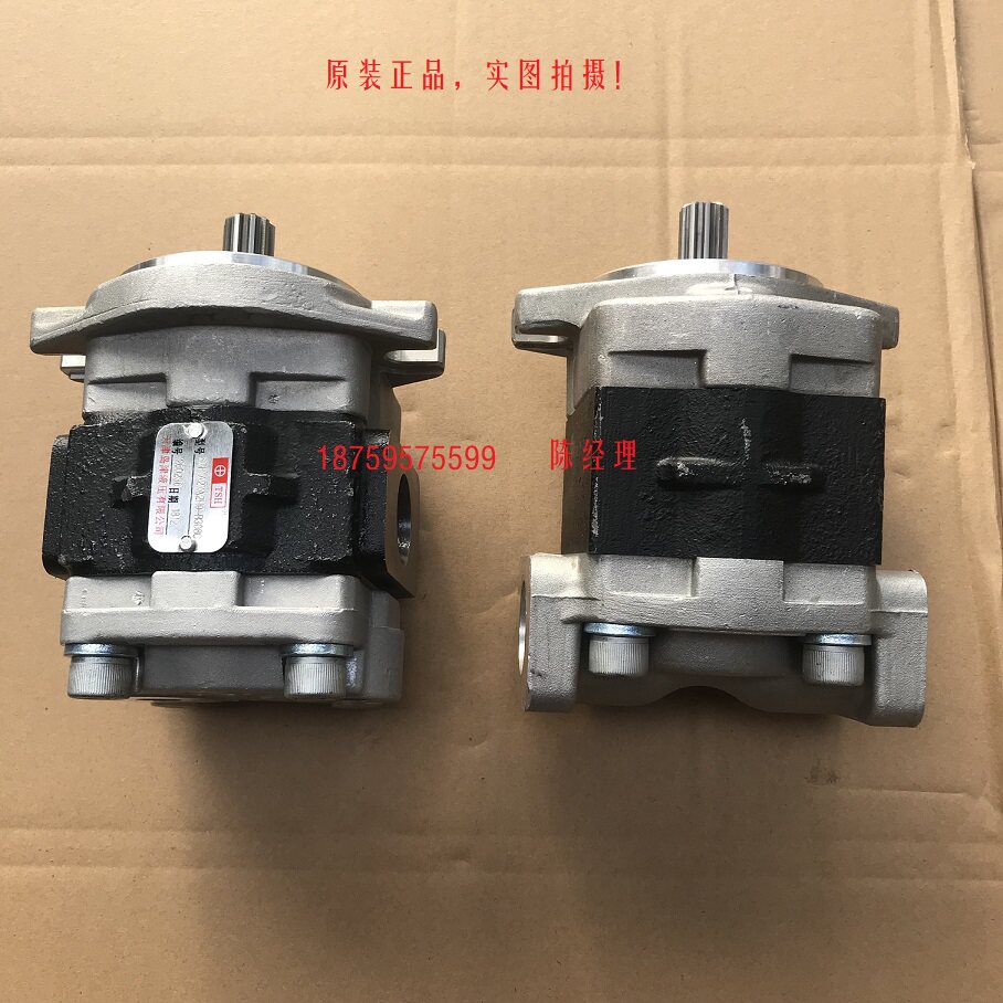 TSH天津岛津油泵SGP1A30.8D2H9-R433T合力叉车新源轮挖齿轮油泵|msdalam kategori perkakasan/alat, jentera perkakasan, Lain perkakasan mekanikal (baru) - dari Buy2taobao.com untuk memberikan perkhidmatan ejen Taobao profesional membeli