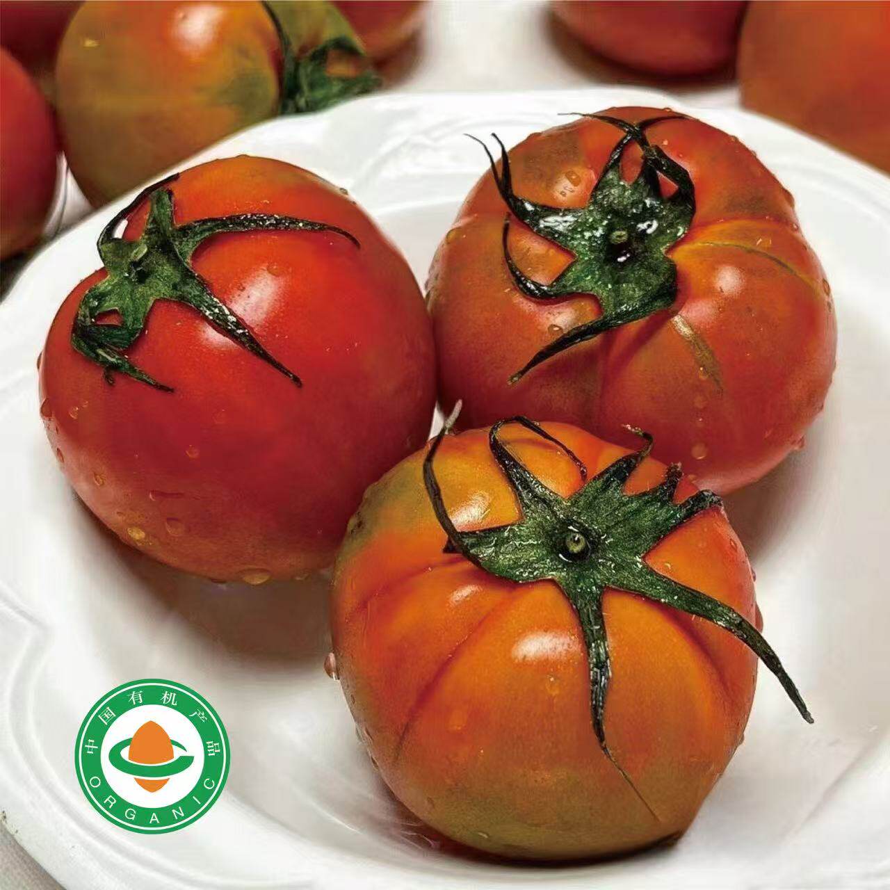 【有机日引王妃西红柿】番茄味浓酸甜脆多汁鲜味足大小不一箱 4斤